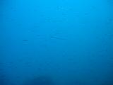 2010-09-15 11-13-37 Steven